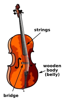 Parts of a cello