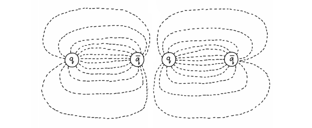 Gluonic field lines, after splitting